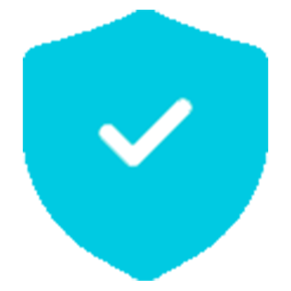 safest_icon